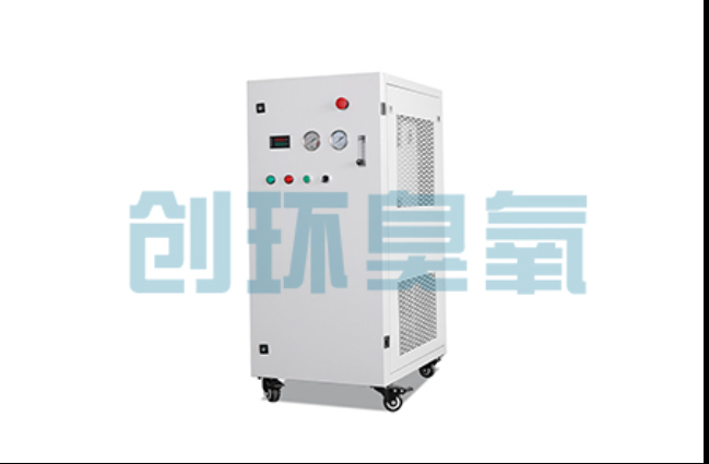 绵阳工厂化养鲈必看:2026年臭氧发生器替代传统消毒的最新方案