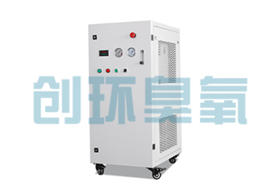绵阳石斑鱼养殖水质调控完整指南:臭氧发生器配置与操作步骤