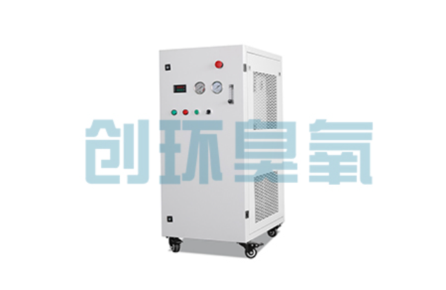 绵阳比传统换水更高效?臭氧发生器在石斑鱼养殖中的水质净化原理解析